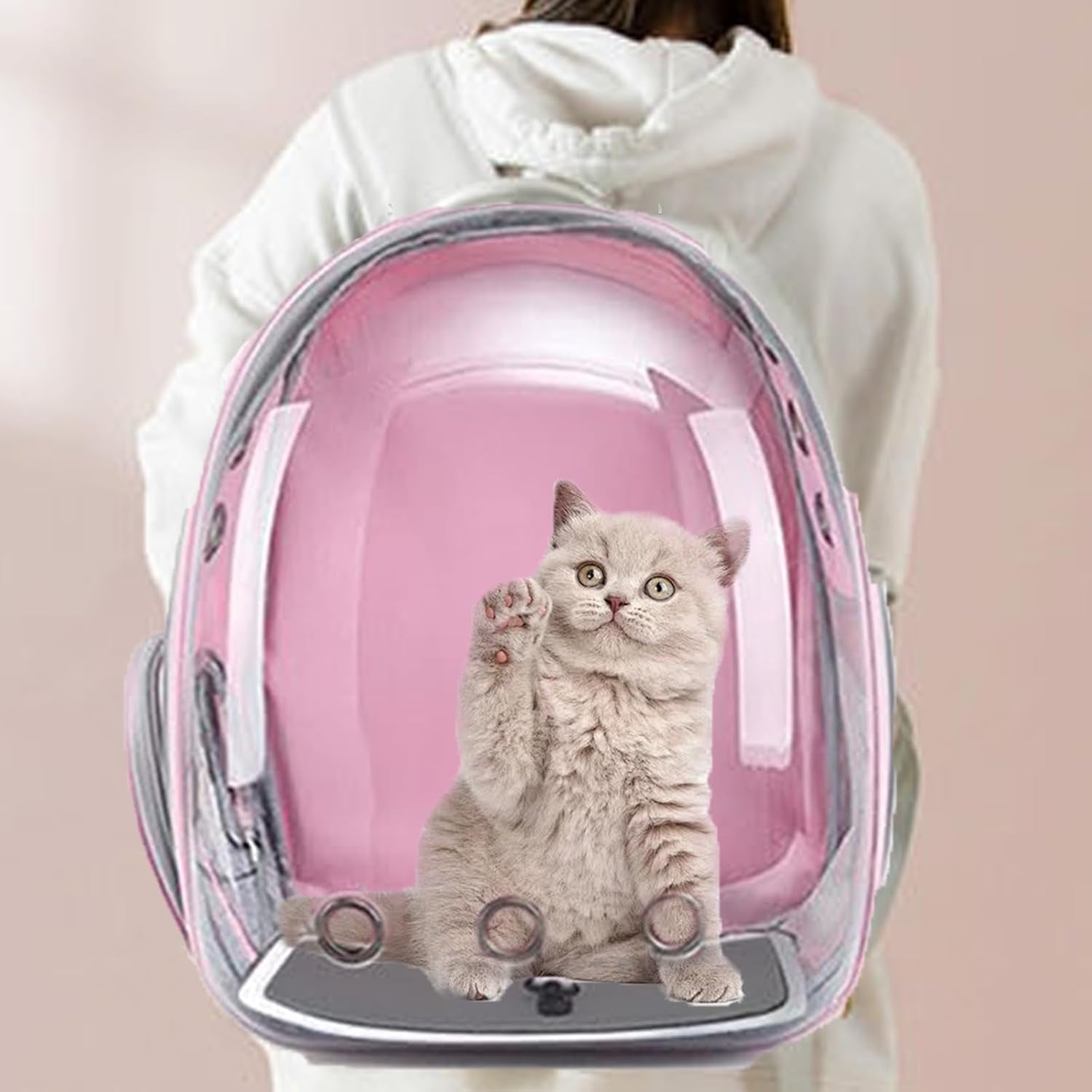 Large Cat & Dog Backpack Carriers - Airline Approved, Small Pet Carrier, Cat & Dog Travel Bag