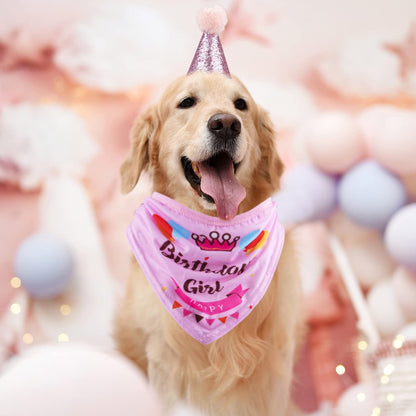 Dog Birthday Party Supplies Bandana Hat Banner Set Boy Girl Cute Bow Tie Scarf Birthday Decorations (Pink，Dog Girl)