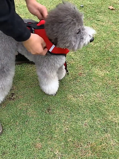 Cat Dog Pet Harness Adjustable Control Vest Dogs Reflective S M L XL Leash