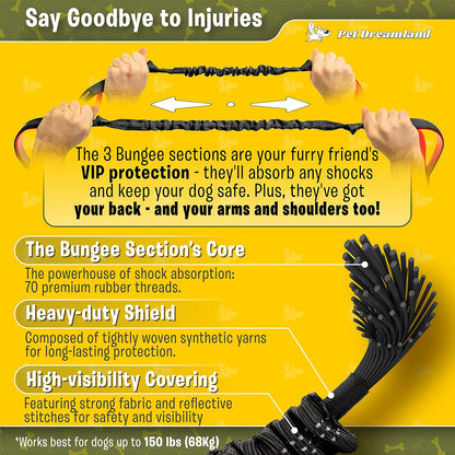 Exquisite Hands Free Dual Dog Leash for Medium Dogs. Trending Waist Leash for Walking 2 Dogs No Tangle. You Will Absolutely Love This Amazing Double Dog Gear (Dark Grey & Pink)