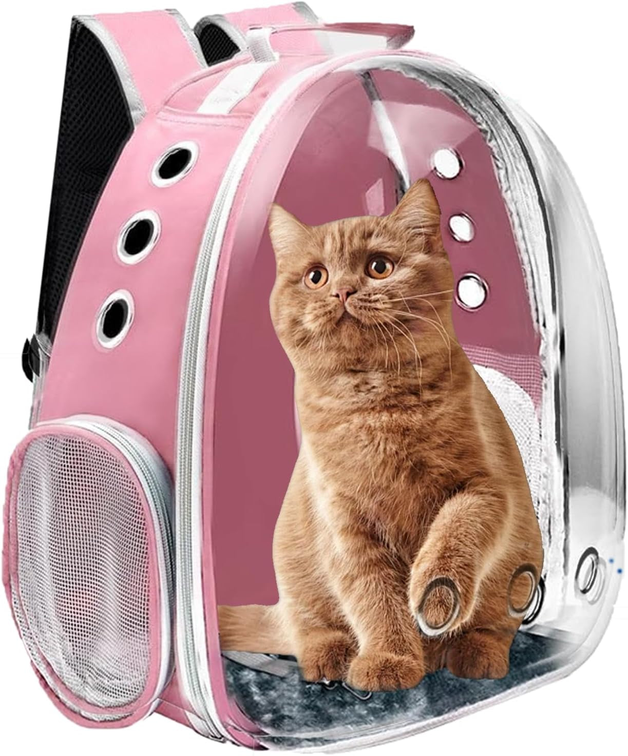 Large Cat & Dog Backpack Carriers - Airline Approved, Small Pet Carrier, Cat & Dog Travel Bag
